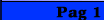 PAGINA 1